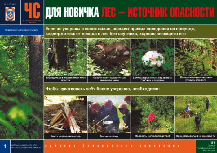 Комплект плакатов «В незнакомом лесу»
