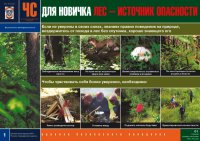 Комплект плакатов «В незнакомом лесу»