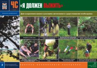 Комплект плакатов «В незнакомом лесу»