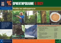 Комплект плакатов «В незнакомом лесу»