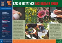 Комплект плакатов «В незнакомом лесу»
