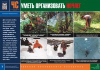 Комплект плакатов «В незнакомом лесу»