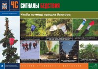 Комплект плакатов «В незнакомом лесу»