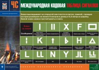 Комплект плакатов «В незнакомом лесу»